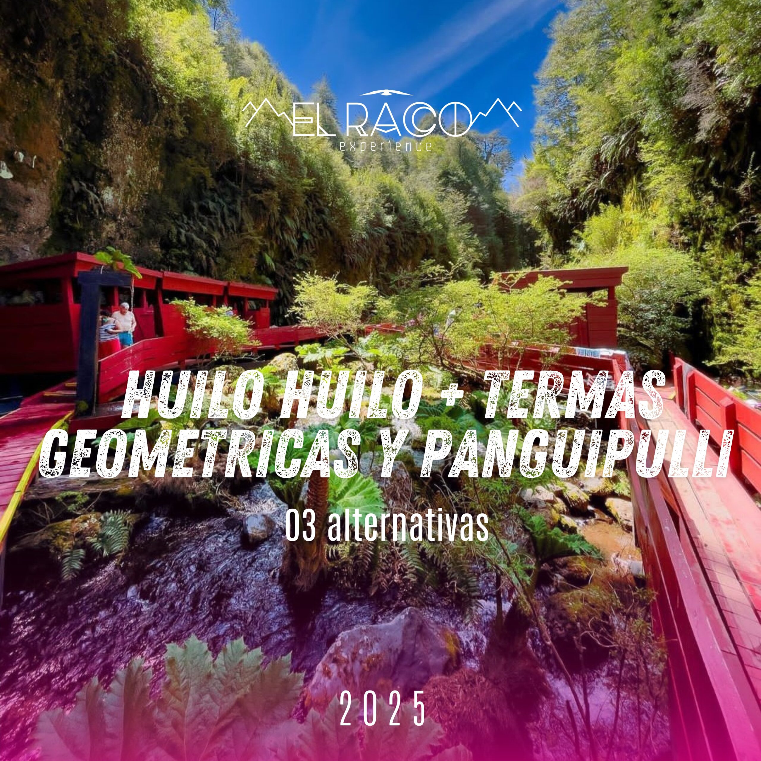 Huilo Huilo + Termas Geométricas