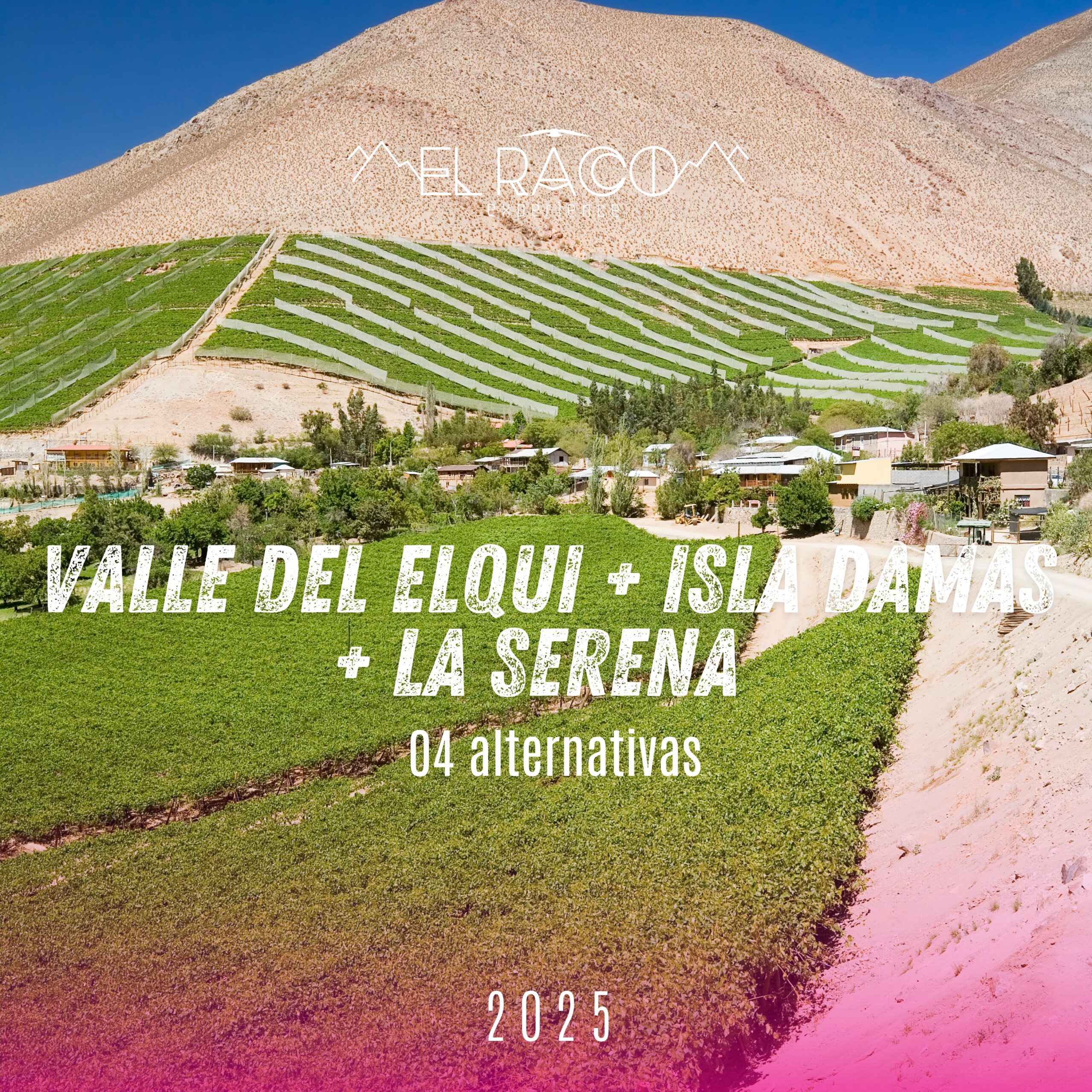 Isla Damas - Valle del Elqui y La Serena