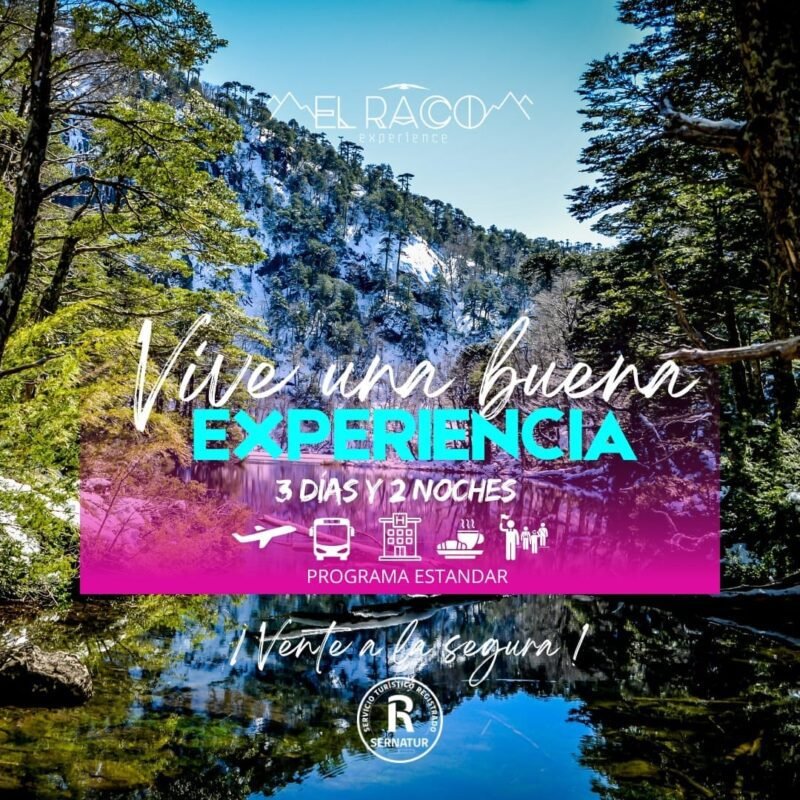 Programa Estándar - Pucón