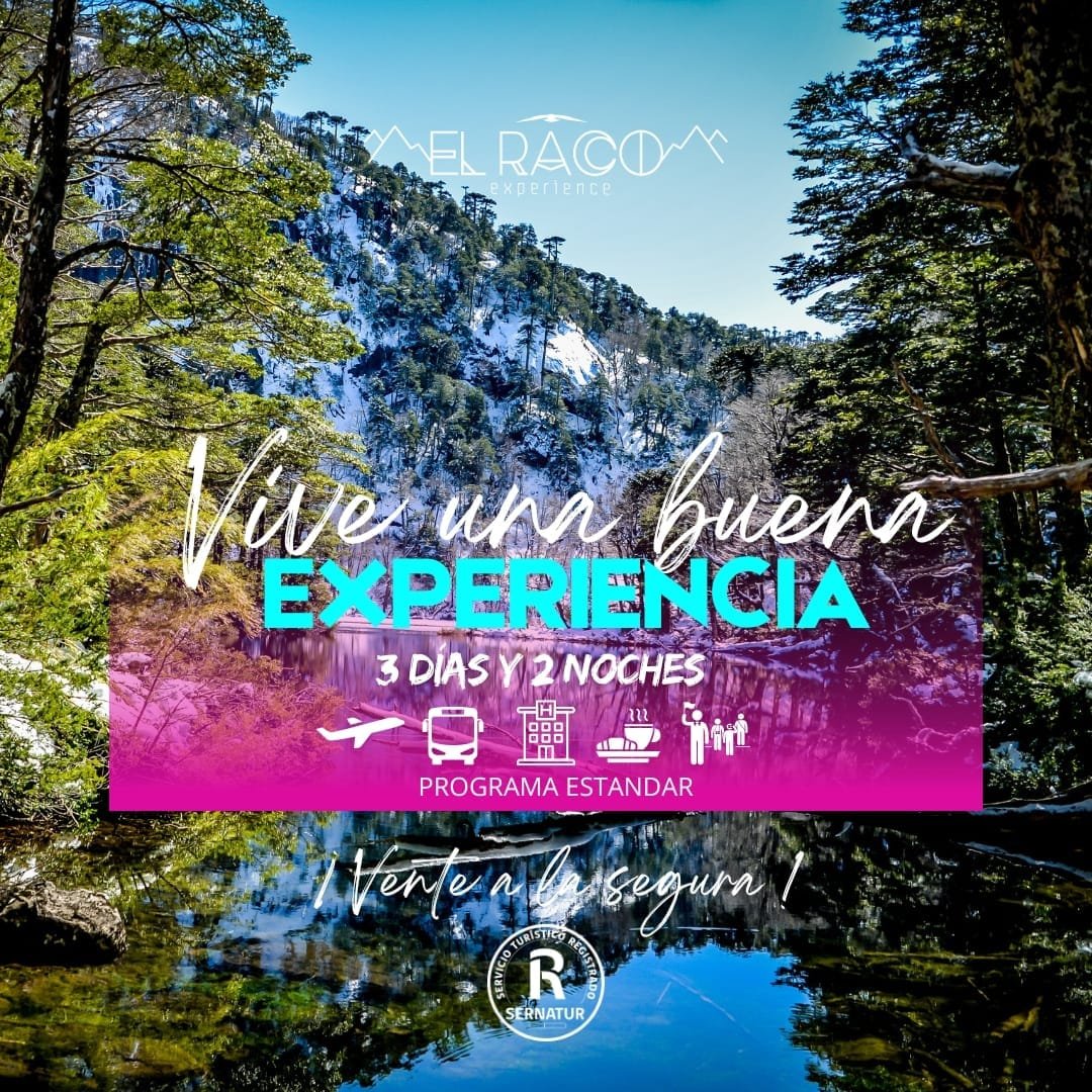 Programa Estándar - Pucón