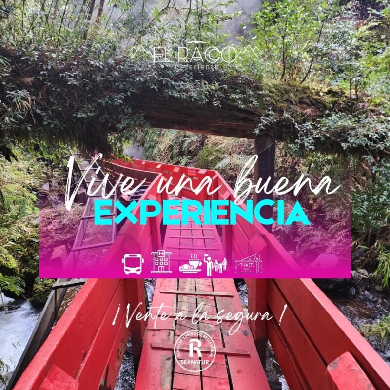 Programa Medio - Huilo Huilo + Termas Geométricas / Alojamiento en Pucón