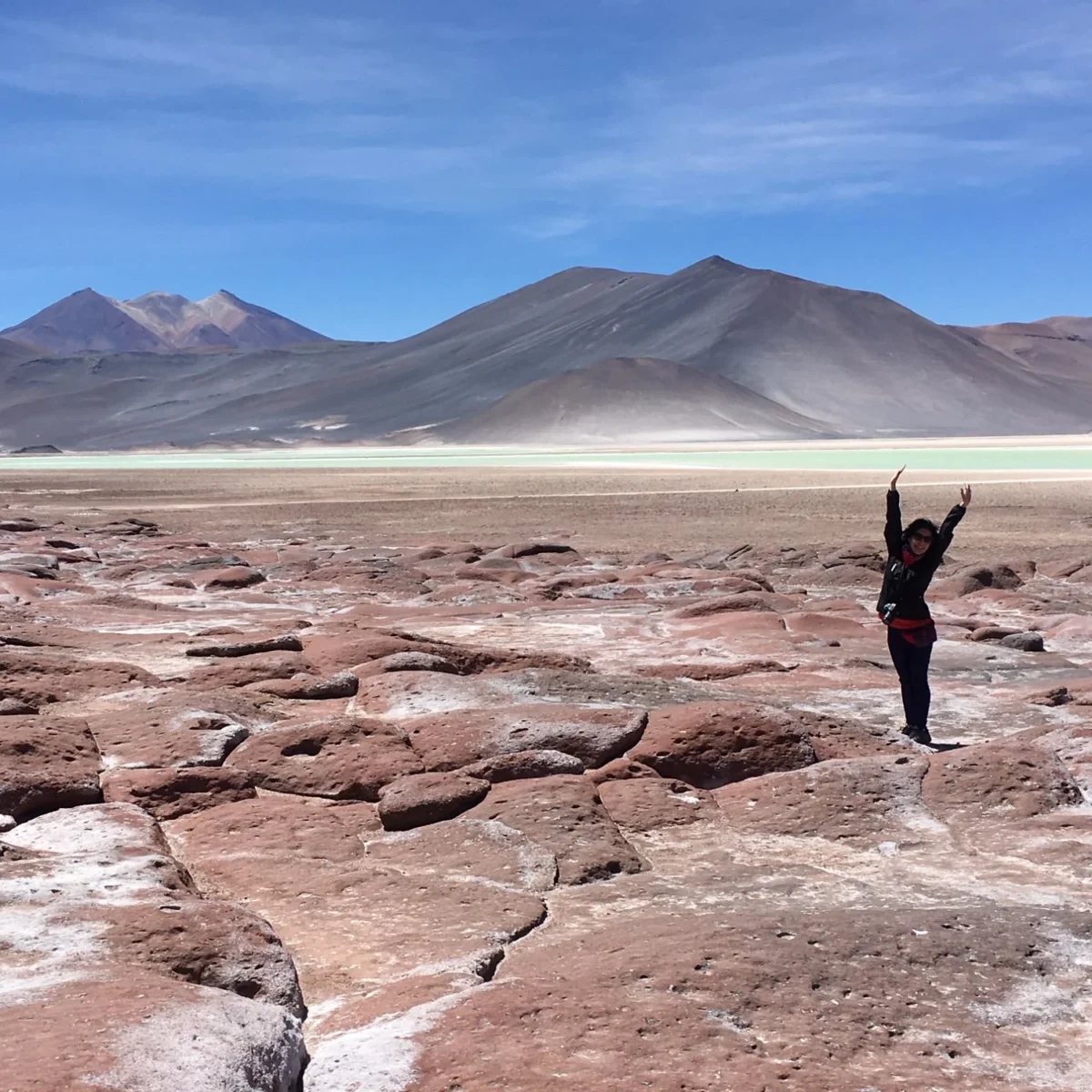 Piedras Rojas y Lagunas Altiplánicas - Tour - Imagen 2