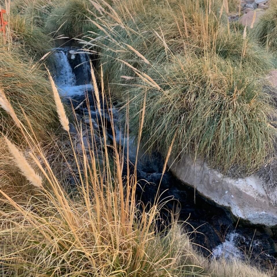 Tralado Termas de Puritama - Imagen 4