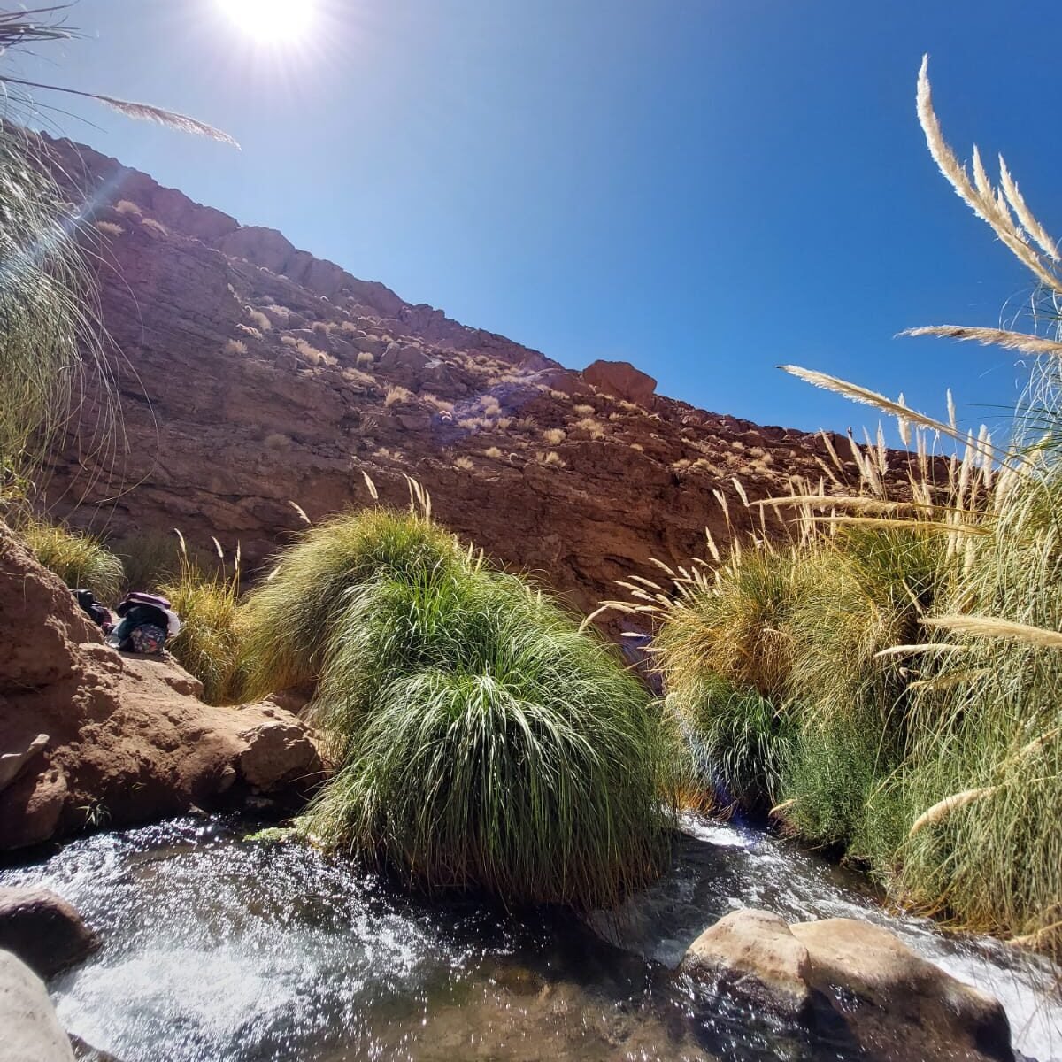 Tralado Termas de Puritama - Imagen 3