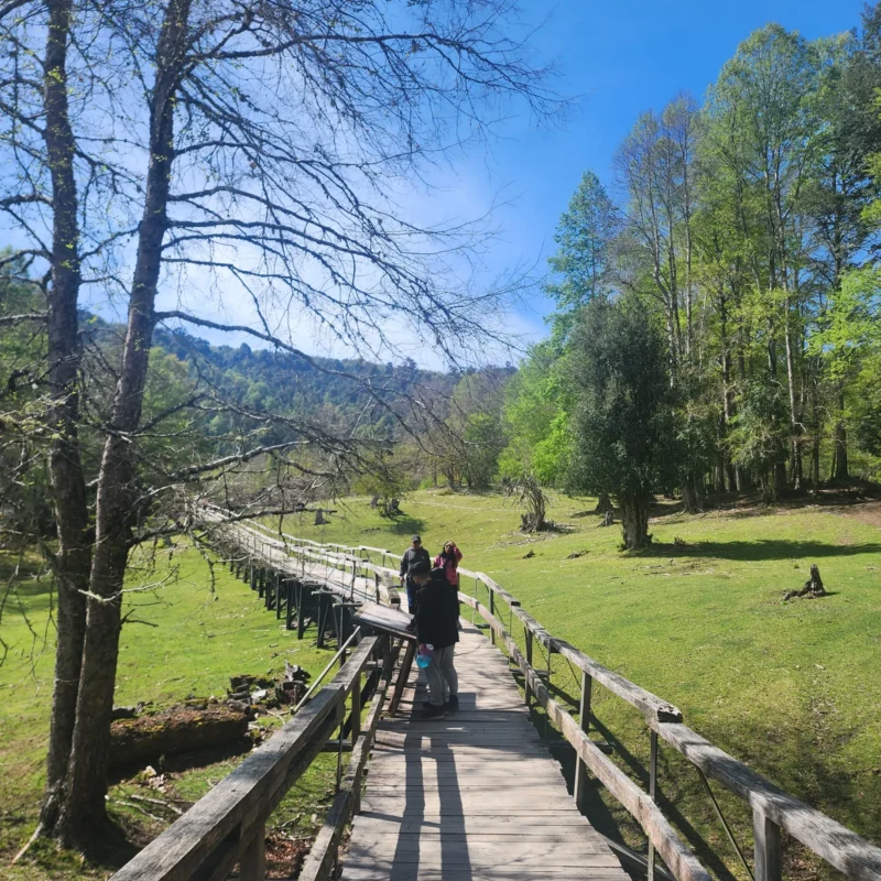 Reserva Biológica Huilo Huilo - Tour