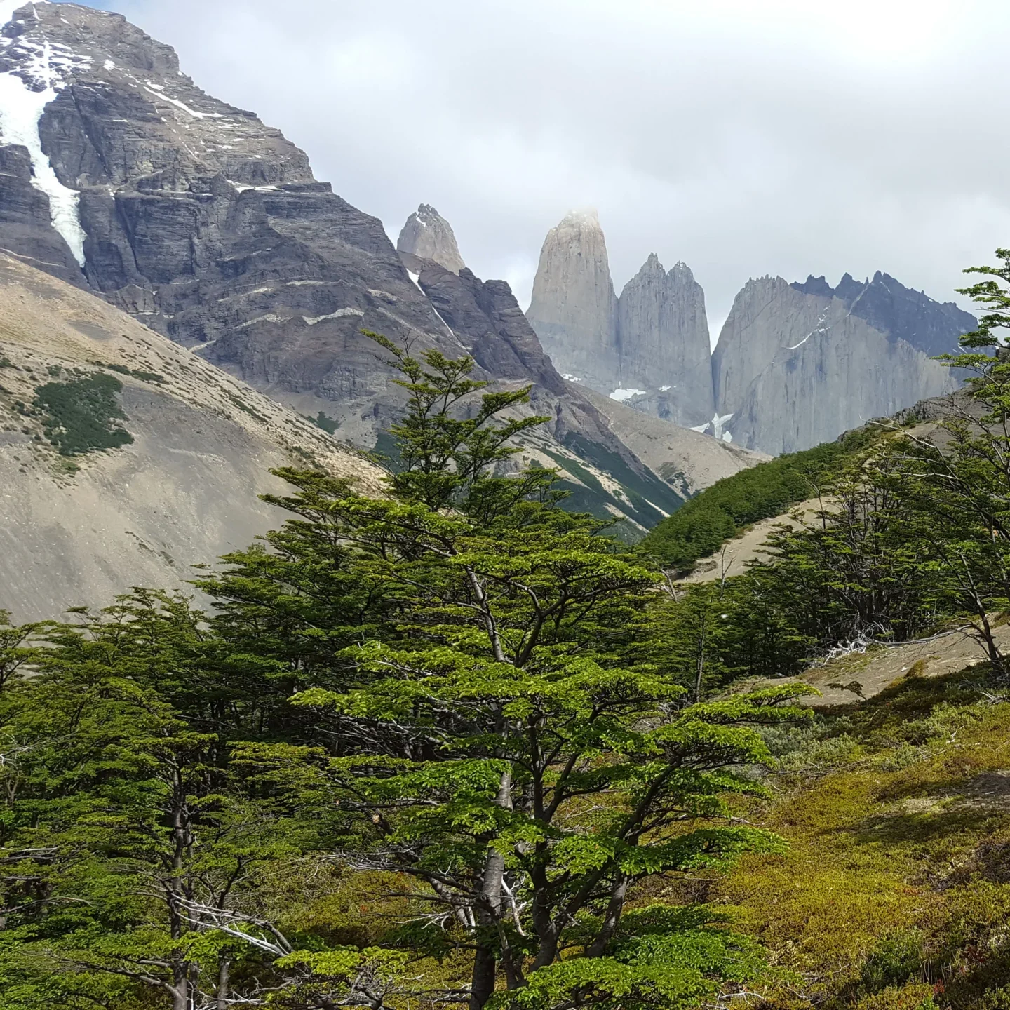 Torres del Paine - Programa Grey Classic - Imagen 18