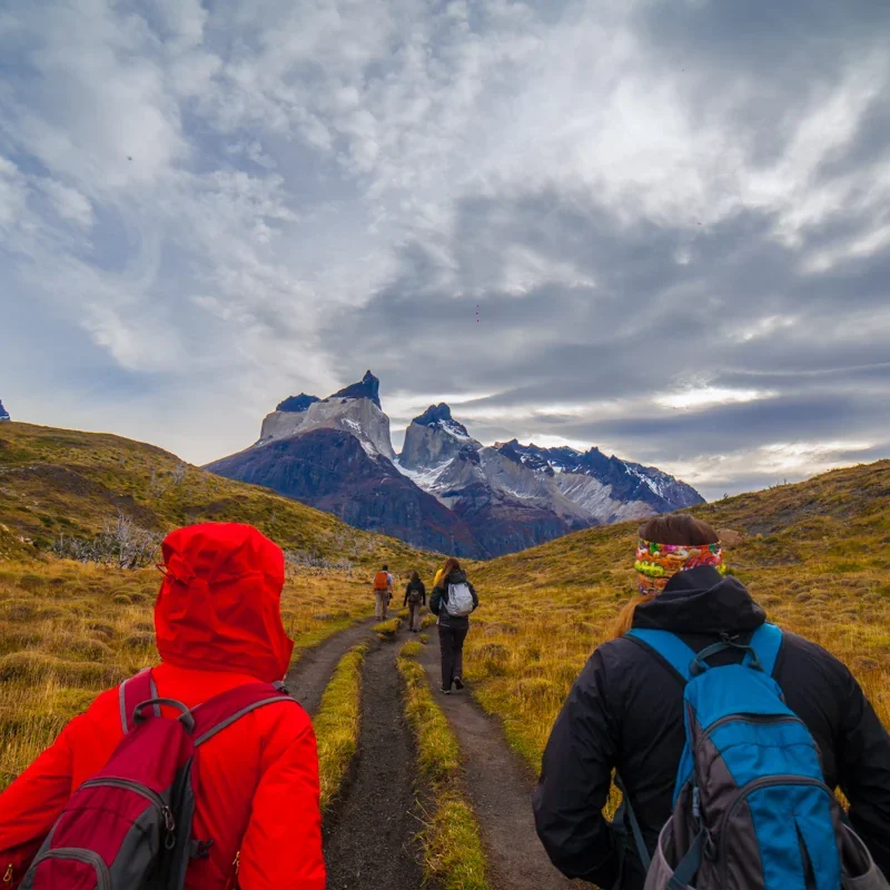 Full Day Torres del Paine - Tour