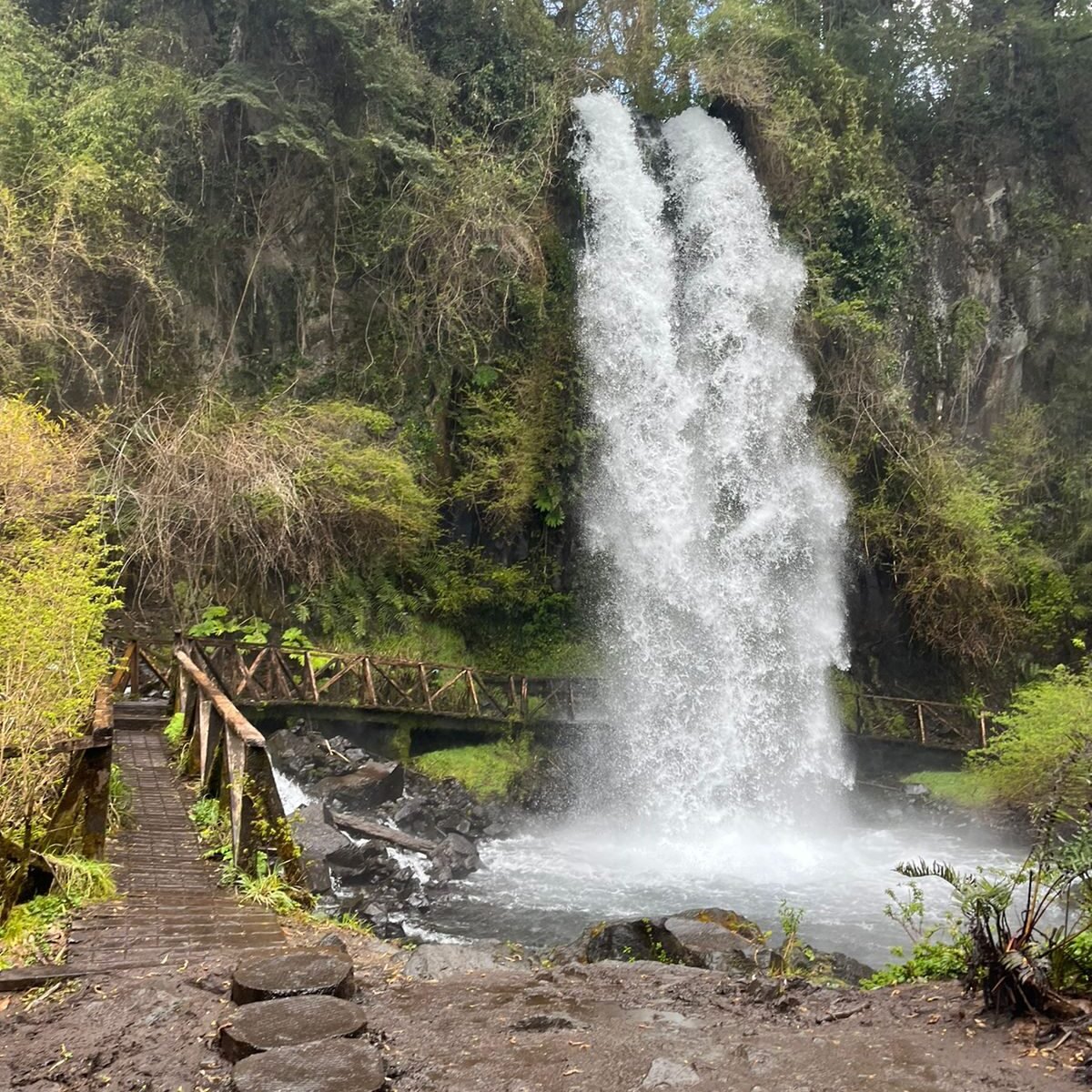 Pucón - Huilo Huilo y Termas Geométricas - Programa Explorer - Imagen 18