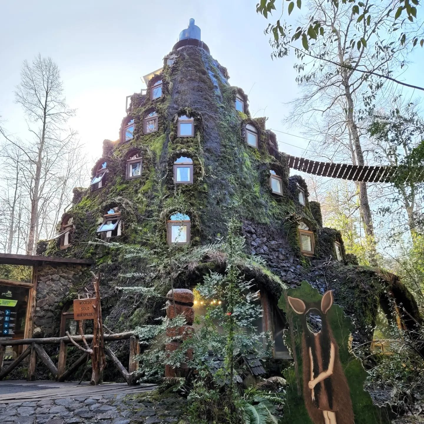 Pucón – Huilo Huilo & Termas Geométricas (Geometric Hot Springs) Expedition Program - Image 2