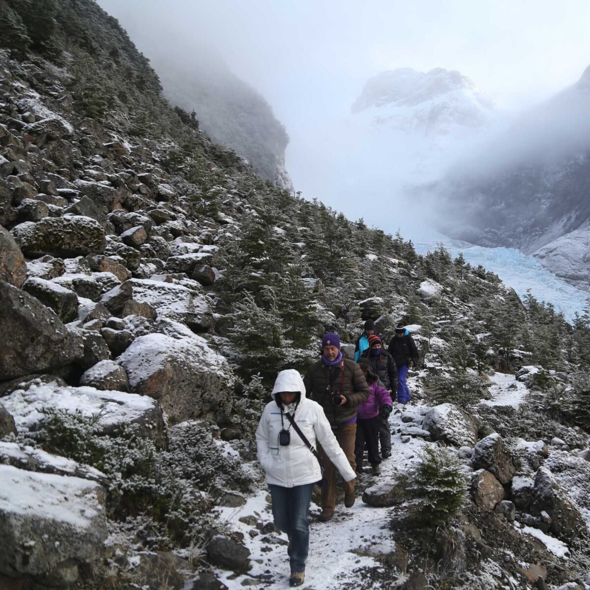 Navegación Glaciares Balmaceda y Serrano - Imagen 2