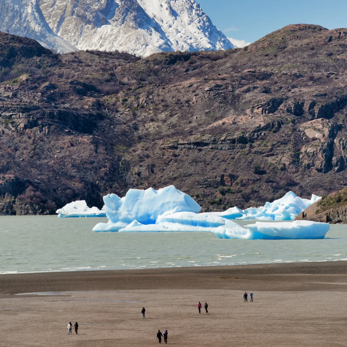 Navegación Lago Grey - Imagen 6