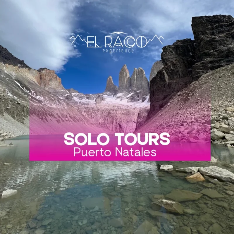 Tours - Puerto Natales