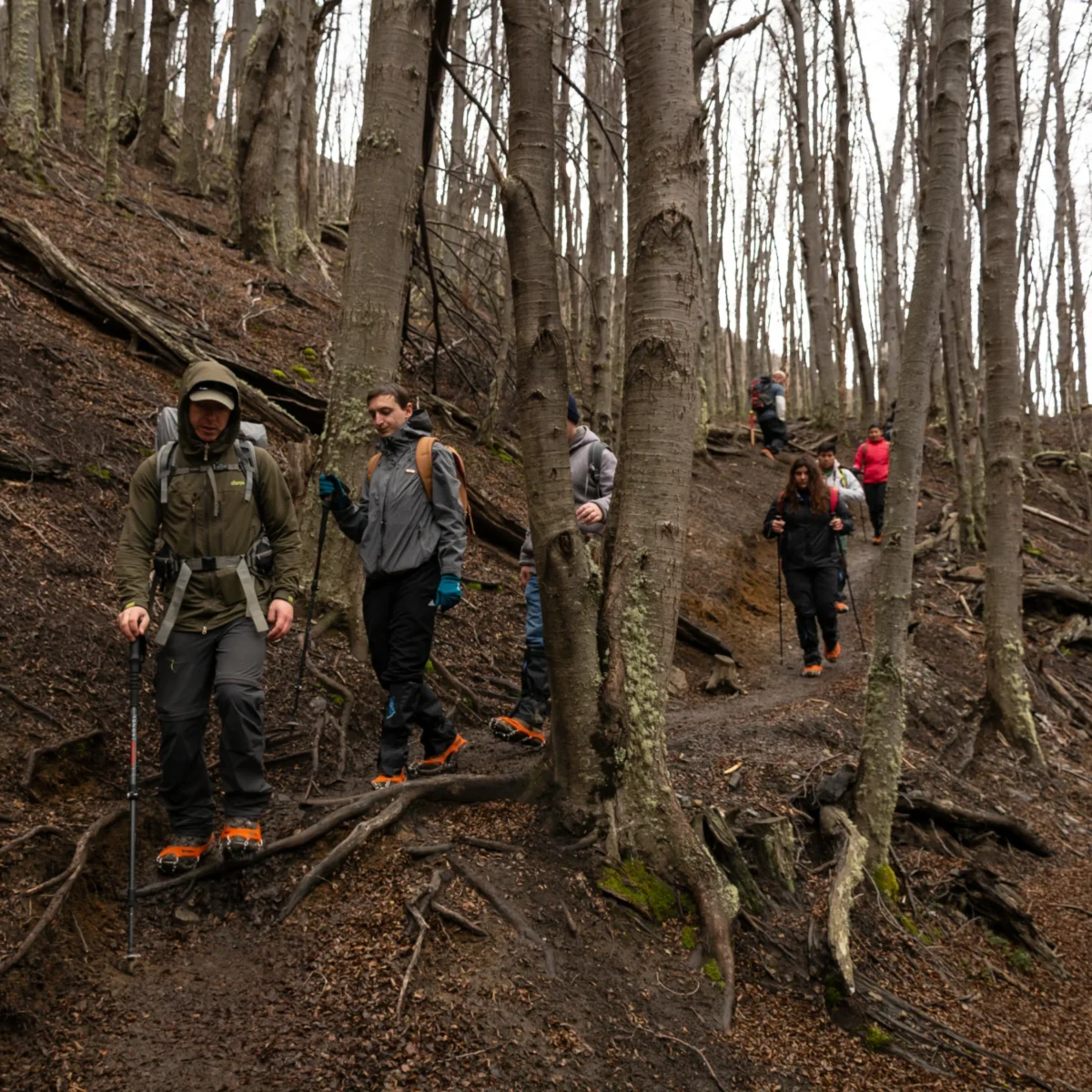 Trekking Base Torres del Paine - Tour - Imagen 4