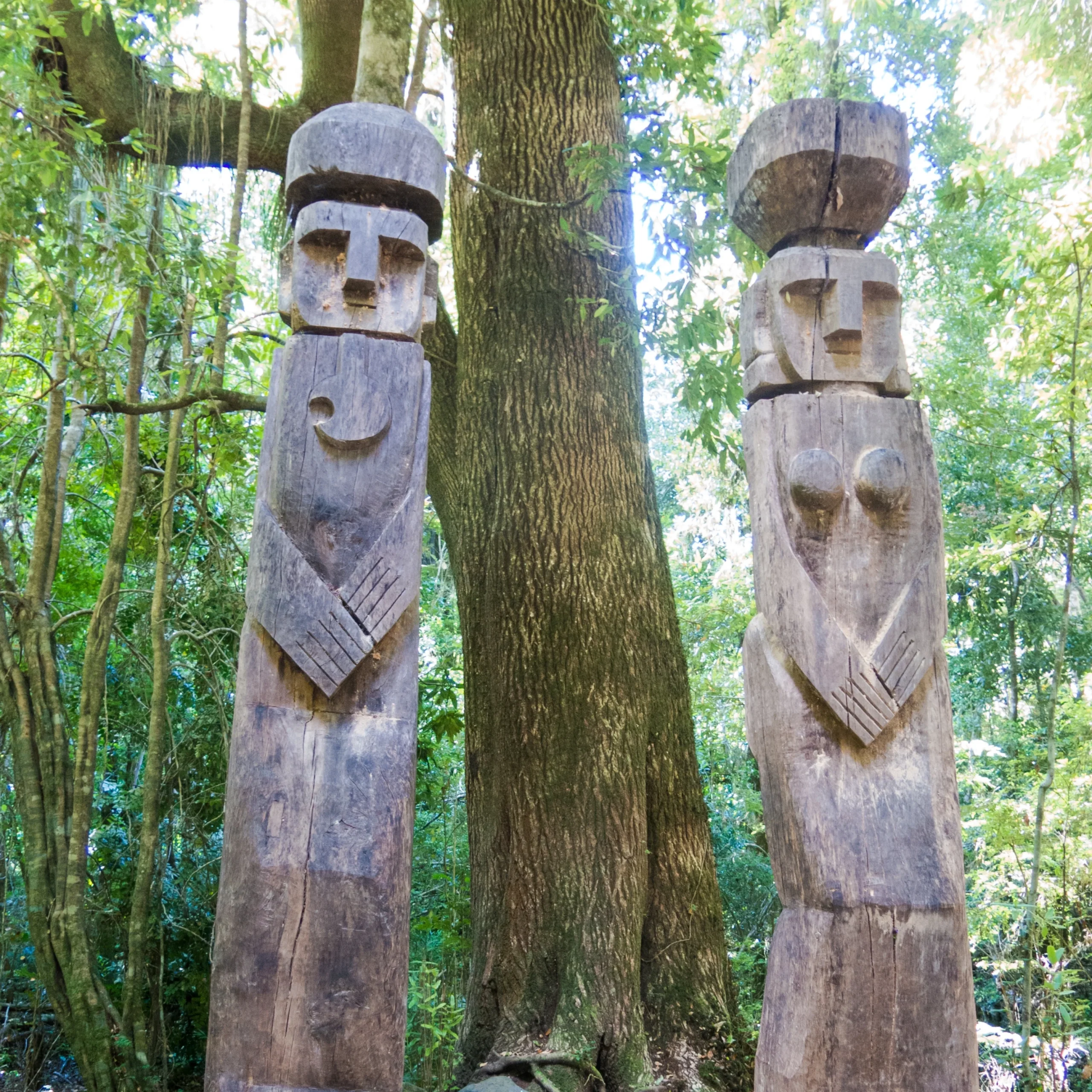 Pucón – Huilo Huilo & Termas Geométricas (Geometric Hot Springs) Expedition Program - Image 6