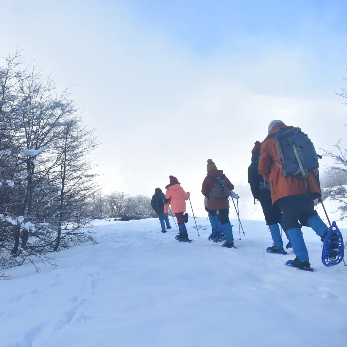 Caminata con Raquetas en el Volcán Villarrica - Tour - Imagen 3