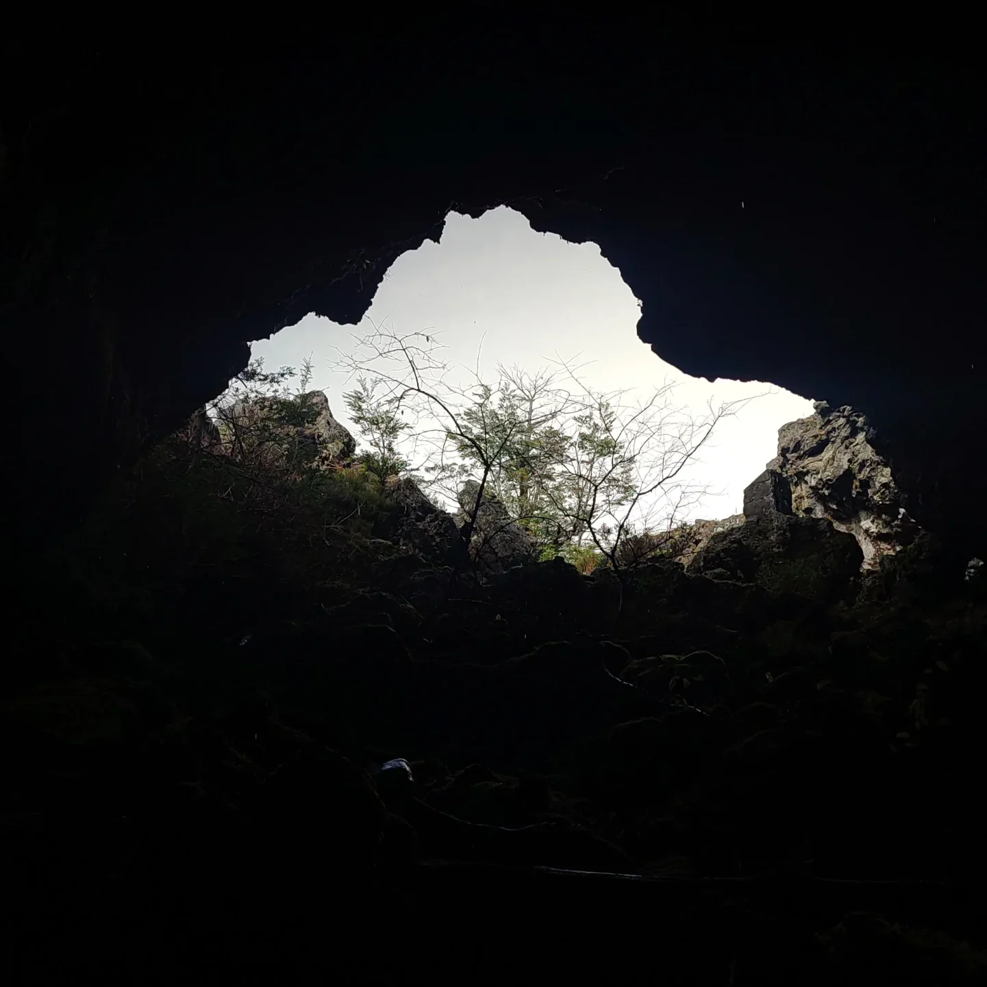 Cuevas Volcánicas en el Volcán Villarrica - Tour - Imagen 5