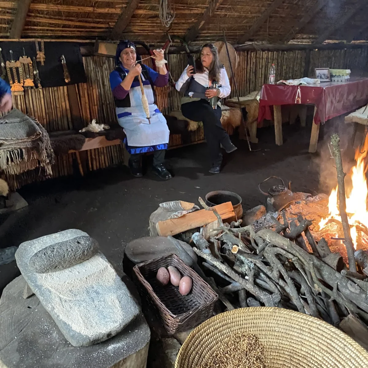 Experiencia Cultural Mapuche - Tour - Imagen 7
