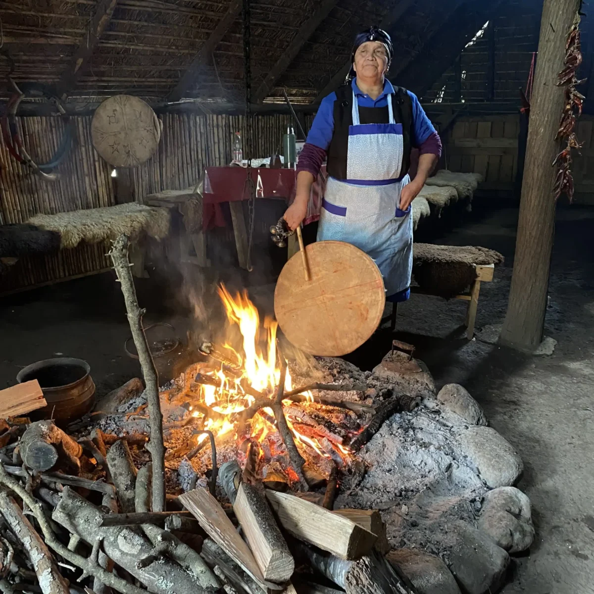 Experiencia Cultural Mapuche - Tour - Imagen 2