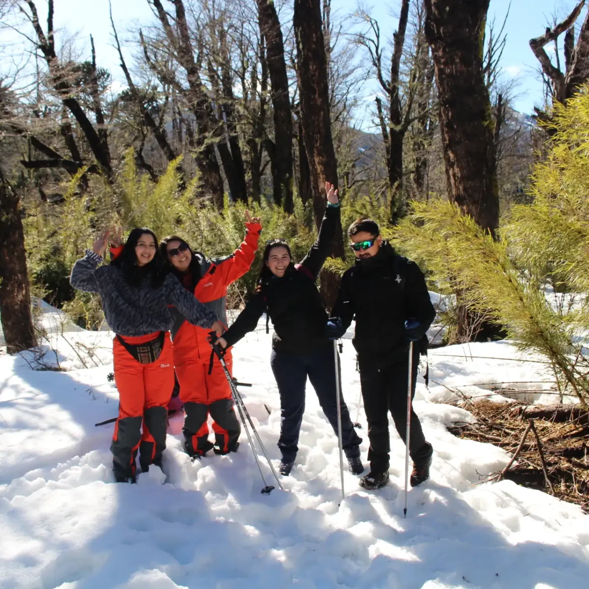 Hiking Lagunas Andinas - Tour - Imagen 5