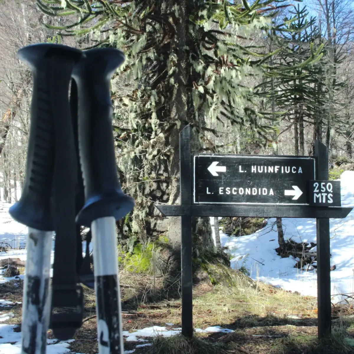 Hiking Lagunas Andinas - Tour - Imagen 10