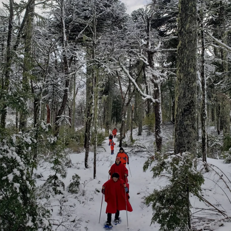 Hiking Lagunas Andinas - Tour