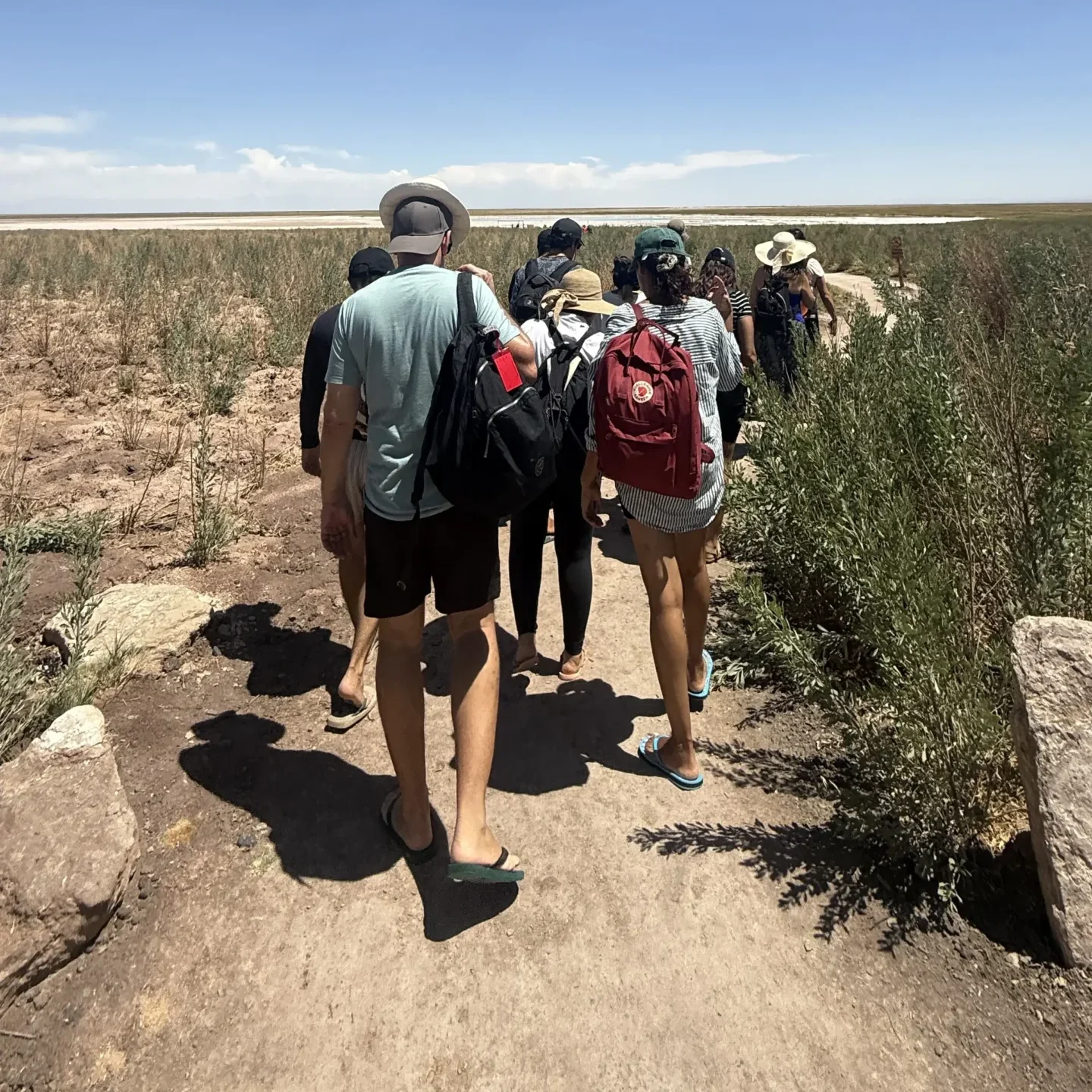 Laguna Cejar, Ojos del Salar y Laguna Tebenquiche - Tour - Imagen 2