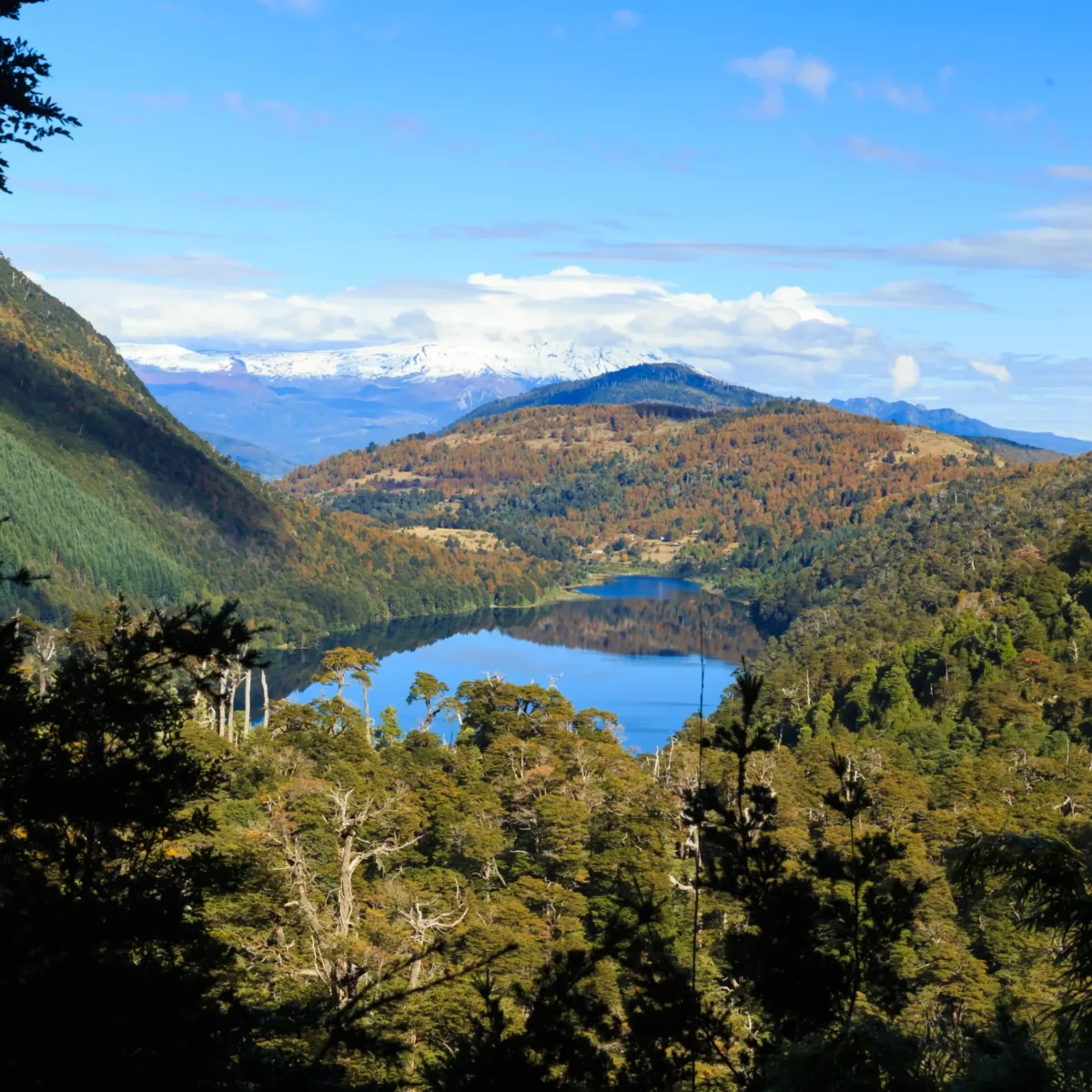 Hiking Parque Nacional Huerquehue - Tour - Imagen 9