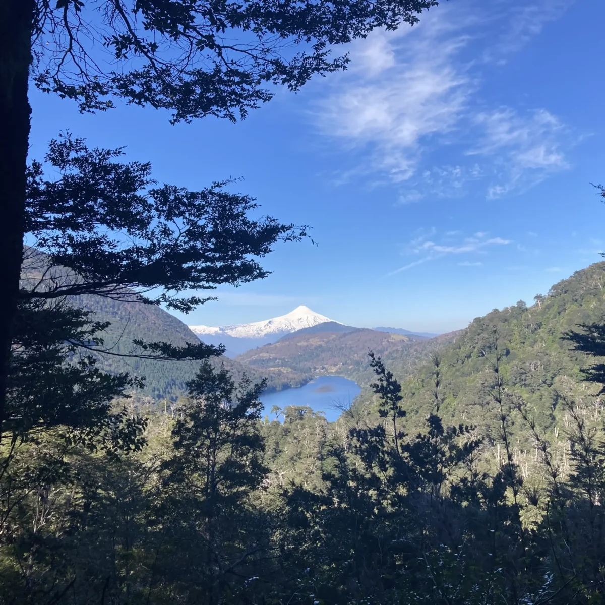 Hiking Parque Nacional Huerquehue - Tour - Imagen 10