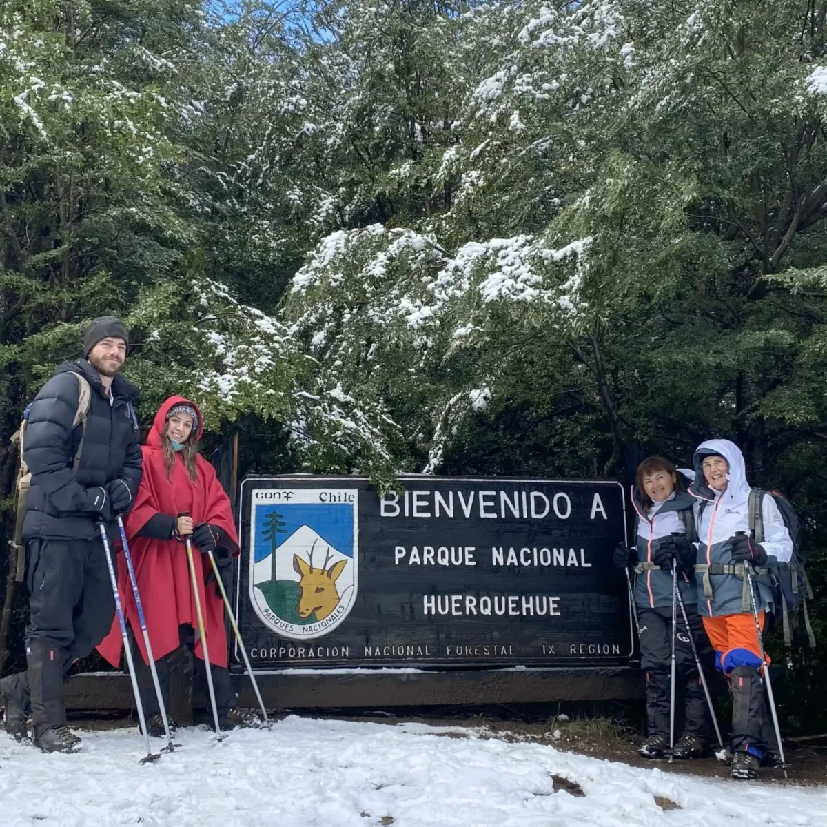 Hiking Parque Nacional Huerquehue - Tour - Imagen 5
