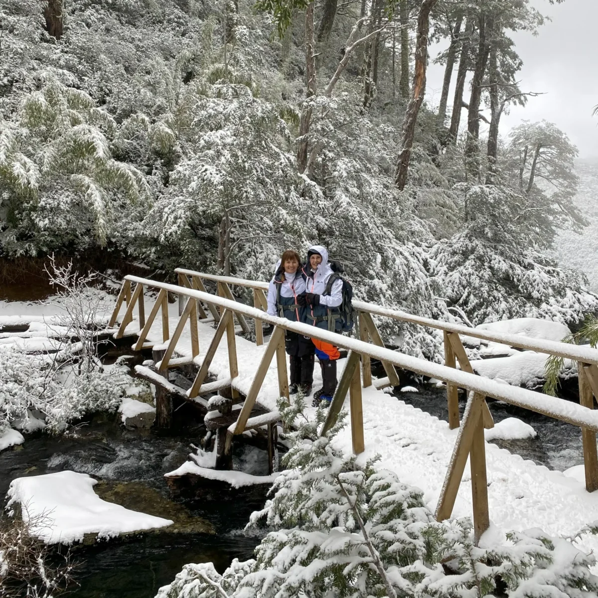 Hiking Parque Nacional Huerquehue - Tour - Imagen 2