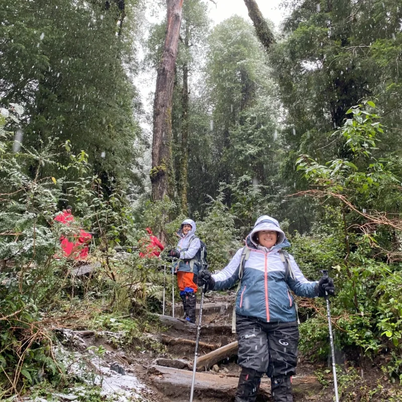 Hiking Parque Nacional Huerquehue - Tour