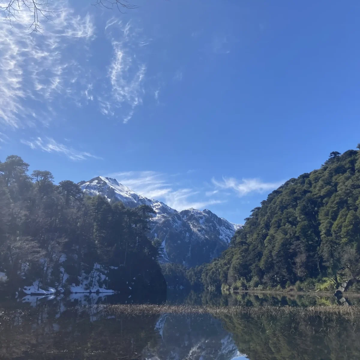 Hiking Parque Nacional Huerquehue - Tour - Imagen 8