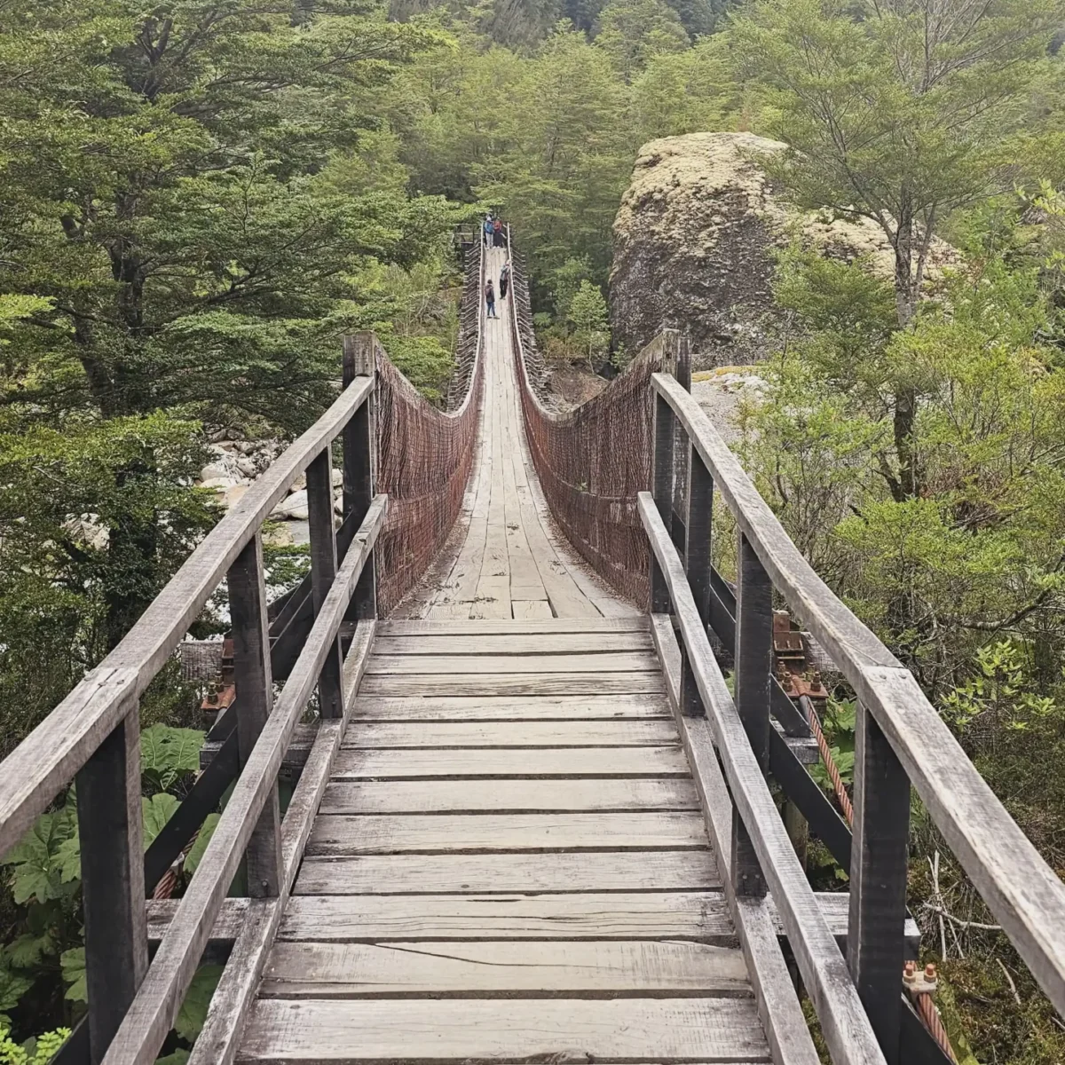 Ventisquero Colgante - Parque Nacional Queulat - Tour - Imagen 12
