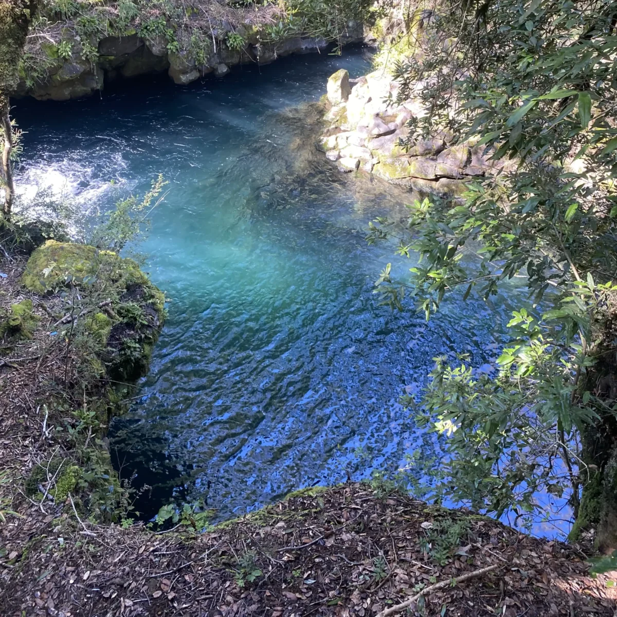 Tour por la Zona + Termas Huife - Tour - Imagen 7
