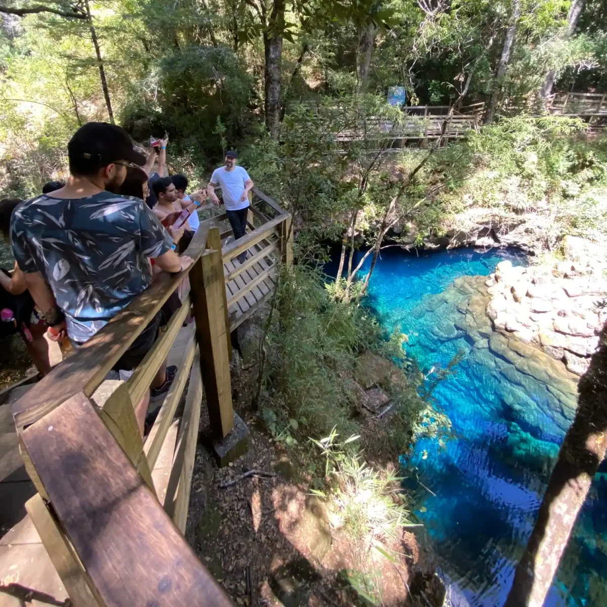 Tour por la Zona + Termas Huife - Tour - Imagen 9