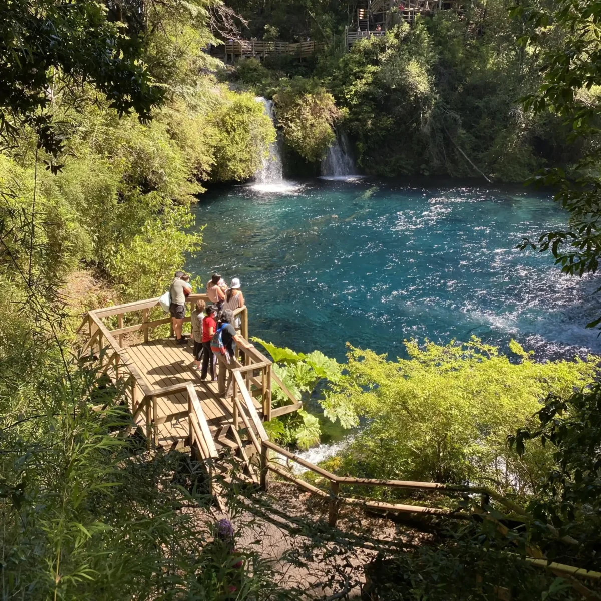Tour por la Zona + Termas Huife - Tour - Imagen 6