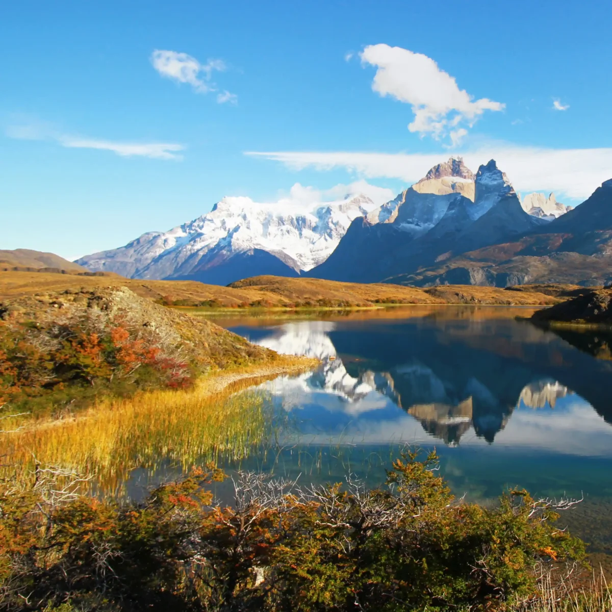 Trekking Mirador Cuernos del Paine - Tour - Imagen 10