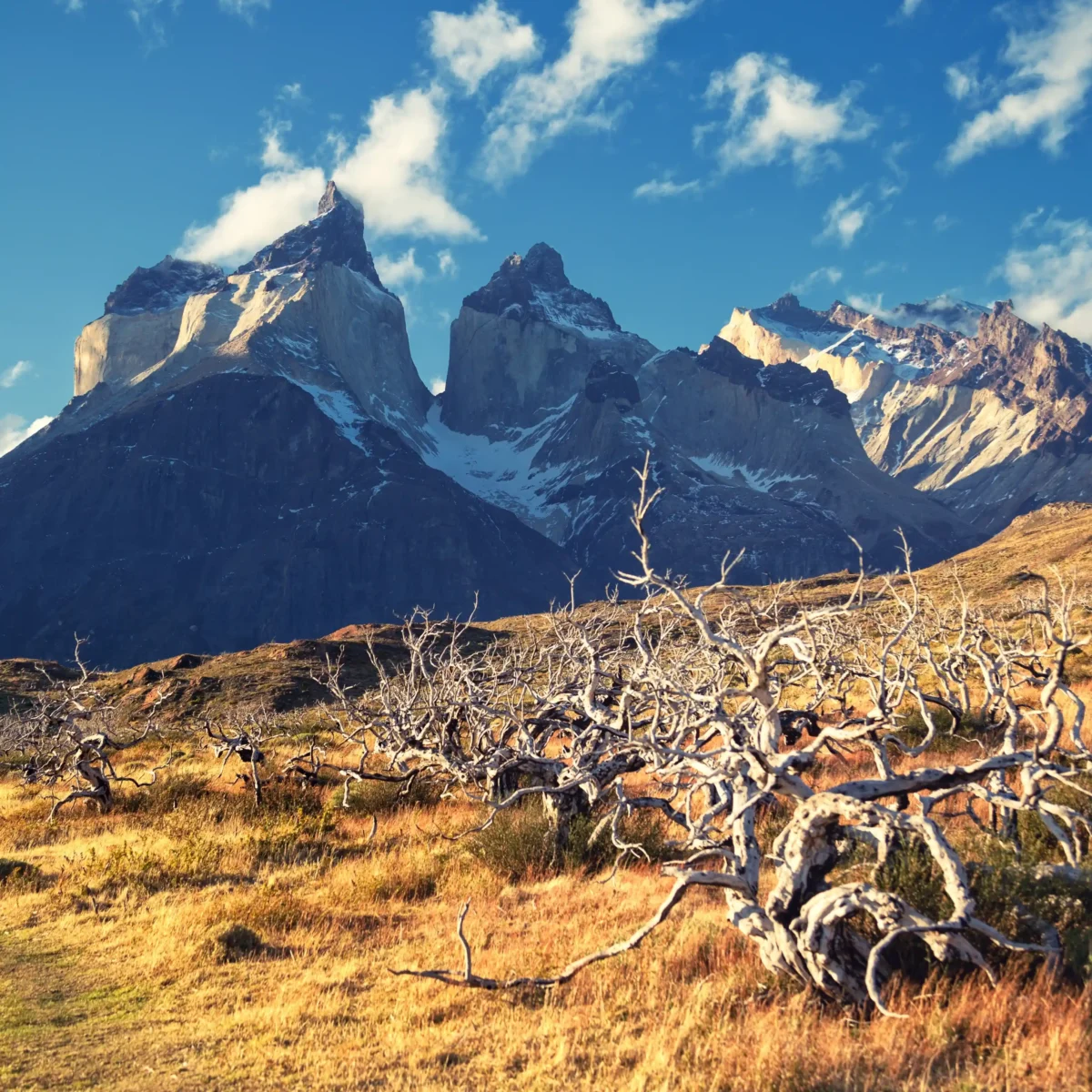 Trekking Mirador Cuernos del Paine - Tour - Imagen 3