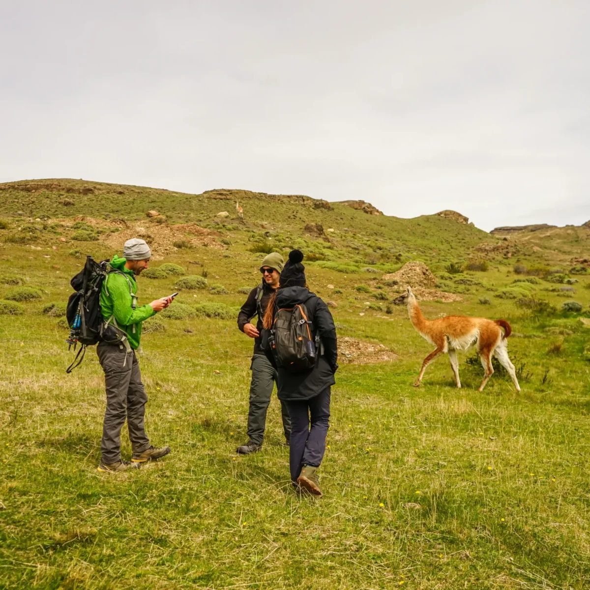 Trekking Mirador Cuernos del Paine - Tour - Imagen 4