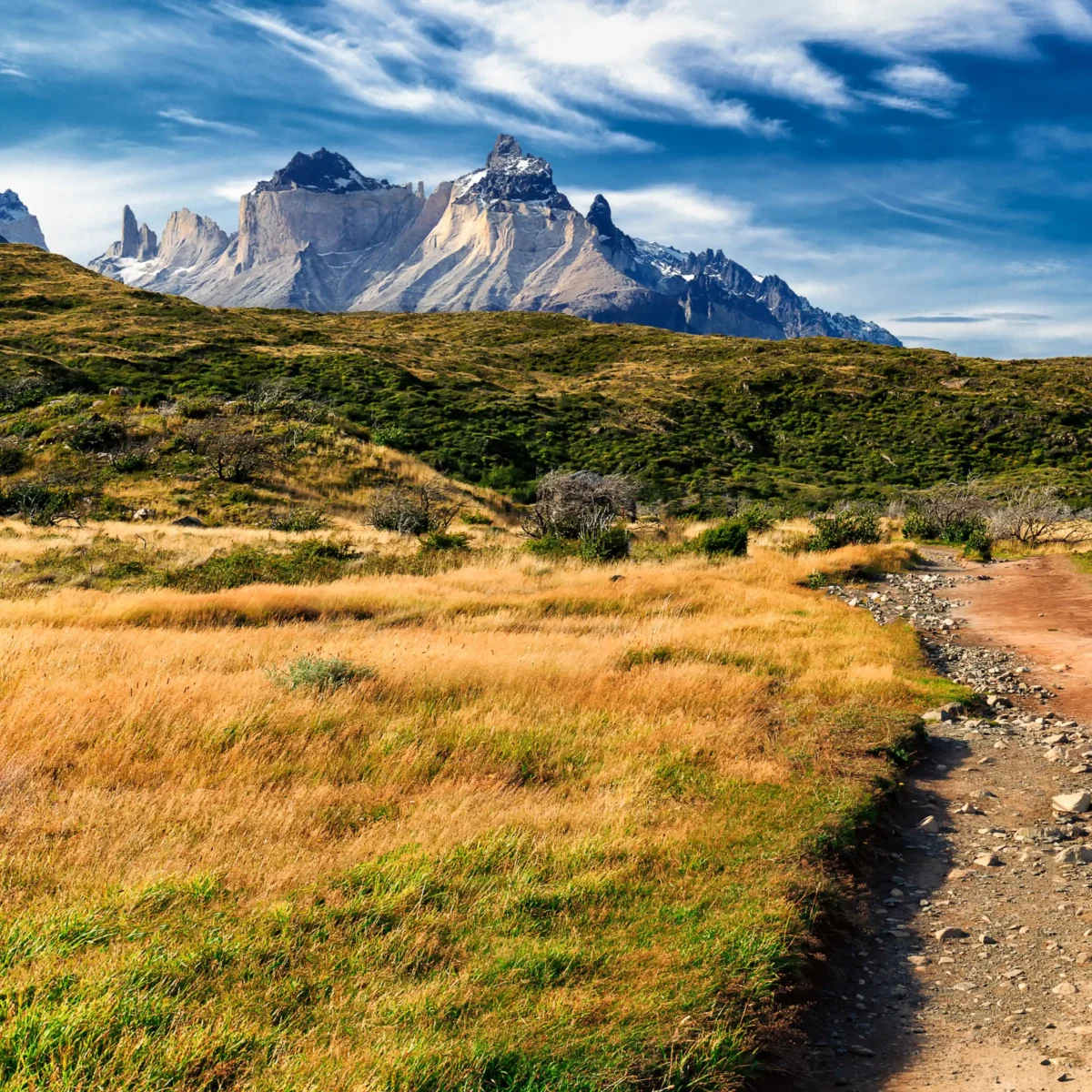 Trekking Mirador Cuernos del Paine - Tour - Imagen 8