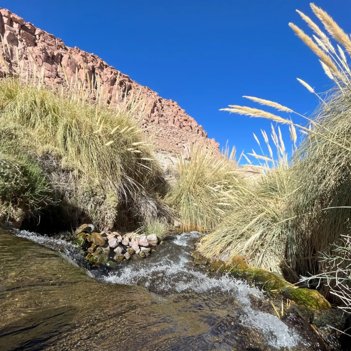 Trekking Purilibre - Tour - Imagen 4