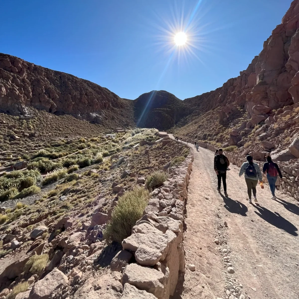 Trekking Purilibre - Tour