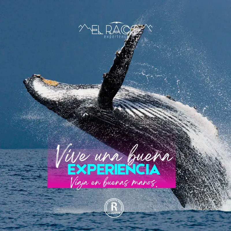 La Serena - Programa Experience