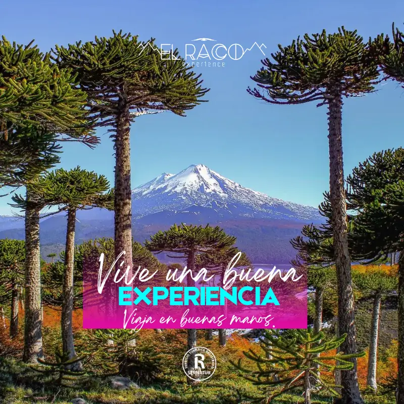 Melipeuco, Sollipulli, Conguillio y Sierra Nevada - Programa Experience