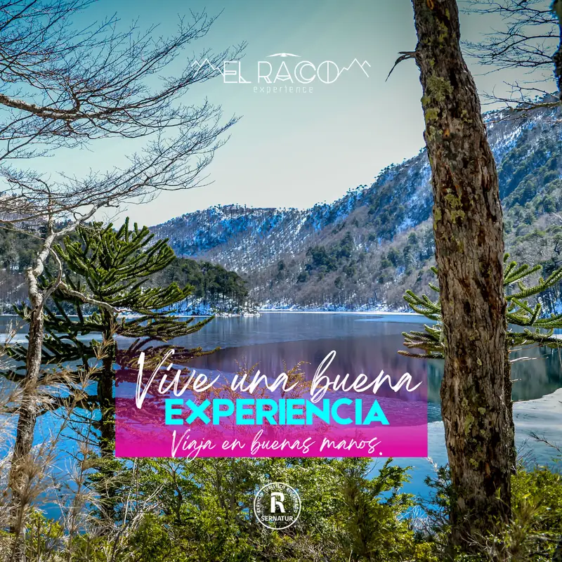 Pucón - Programa Experience