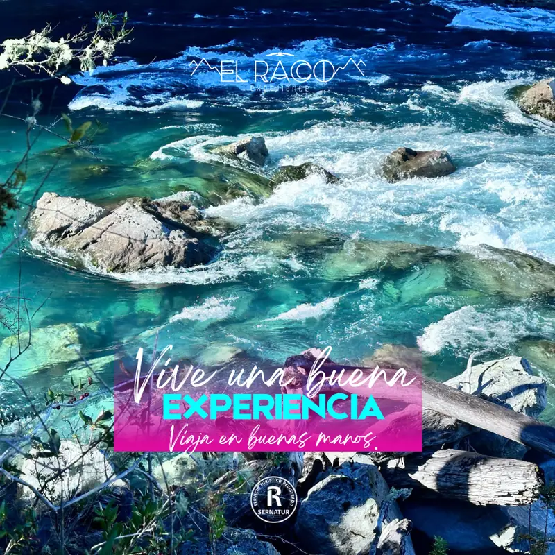 Puerto Varas - Programa Experience