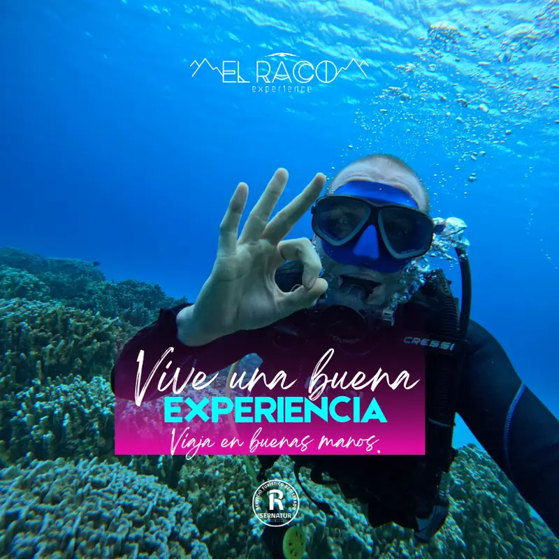 Rapa Nui - Programa Moana