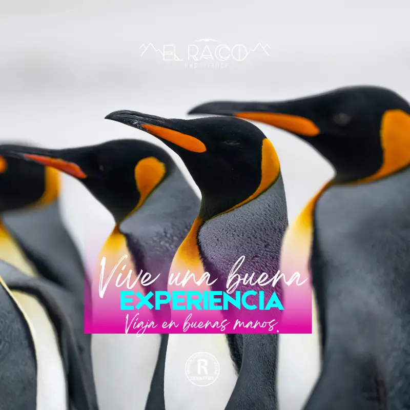 Tierra del Fuego - Programa Estrecho de Magallanes