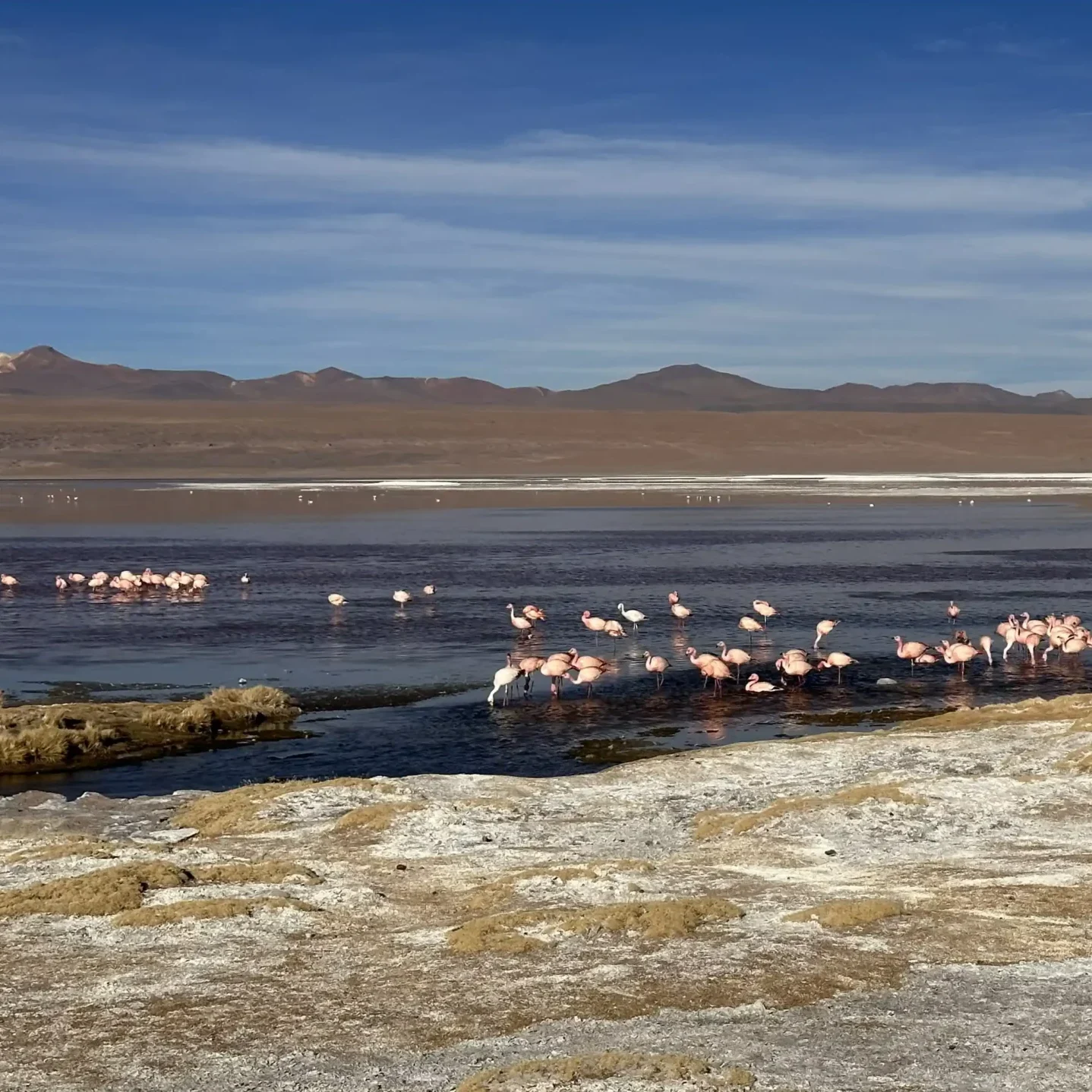Programa Salar de Uyuni vía San Pedro de Atacama - Imagen 11
