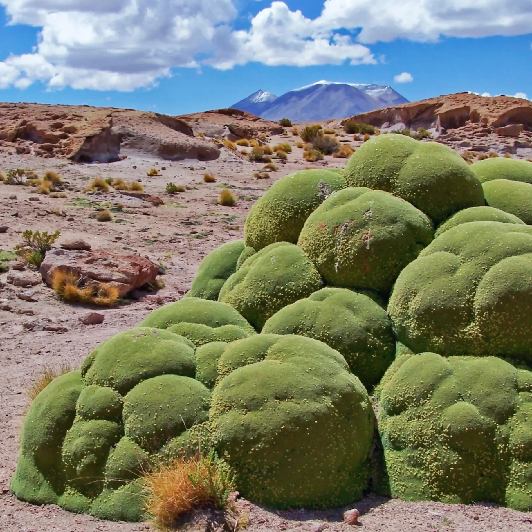 Programa Salar de Uyuni vía San Pedro de Atacama - Imagen 9
